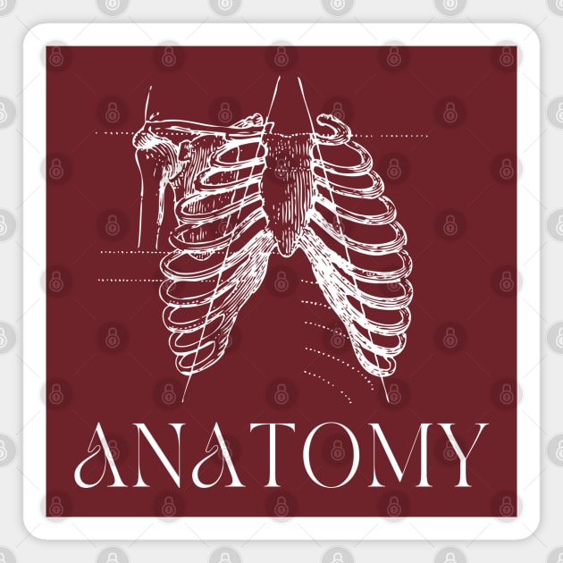 Anatomy Magnet by Artsy2Day